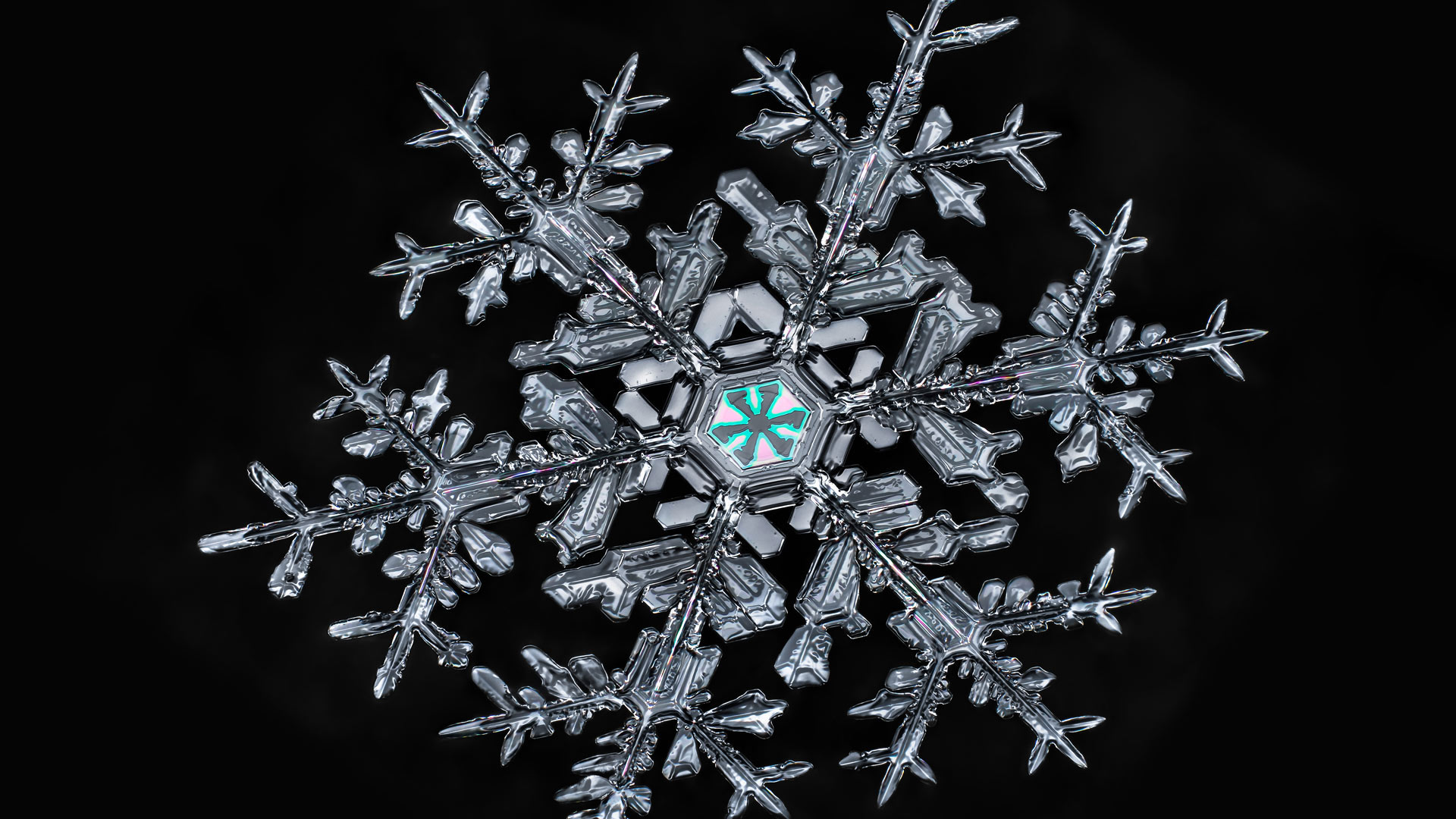 一片雪花 (© Don Komarechka/Science Photo Library) - 2017/12/18 一片雪花 (© Don Komarechka/Science Photo Library) - 2017/12/18