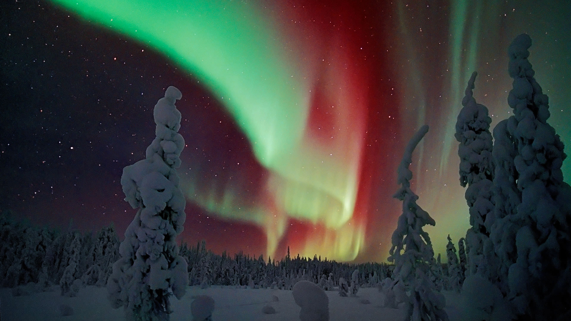 芬兰的北极光 (© Jorma Luhta/Minden Pictures) - 2017/12/25 芬兰的北极光 (© Jorma Luhta/Minden Pictures) - 2017/12/25