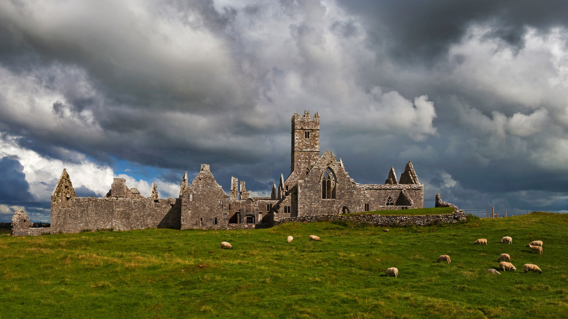 Ross Errilly Friary,爱尔兰戈尔韦郡 (© plainpicture) - 2018/03/17 Ross Errilly Friary,爱尔兰戈尔韦郡 (© plainpicture) - 2018/03/17