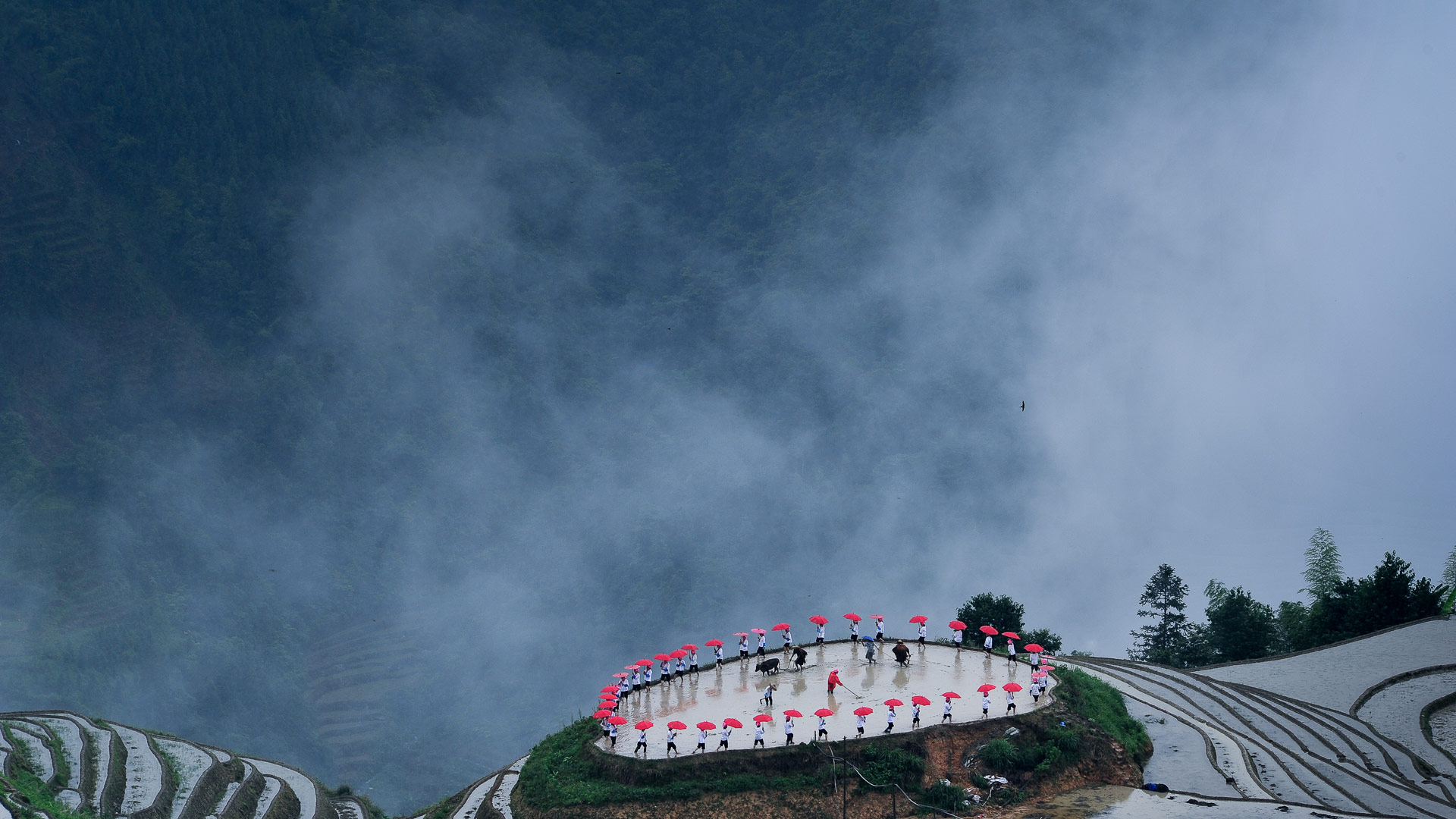 【今日谷雨】平安村种植节期间龙胜梯田的忙碌景象(© gary76973/Getty Images) - 2018/04/20 【今日谷雨】平安村种植节期间龙胜梯田的忙碌景象(© gary76973/Getty Images) - 2018/04/20