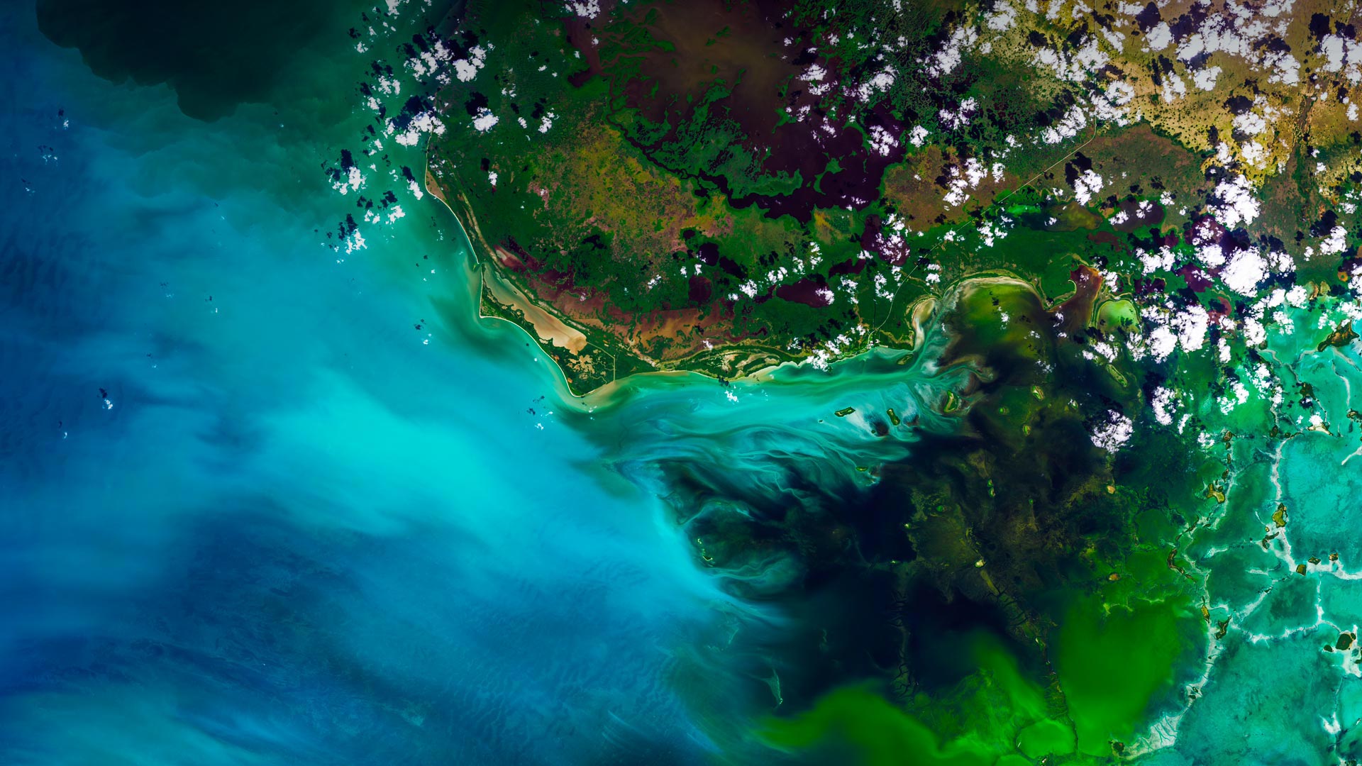 大沼泽地国家公园的卫星视图,佛罗里达州 (© Satellite Earth Art/Aurora Photos) - 2018/04/24 大沼泽地国家公园的卫星视图,佛罗里达州 (© Satellite Earth Art/Aurora Photos) - 2018/04/24