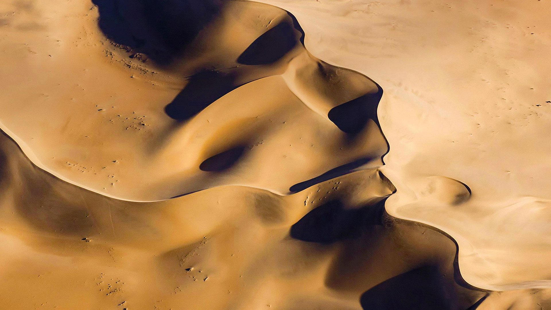 纳米布沙漠,纳米比亚 (© Valerio Leone/Solent News/REX/Shutterstock) - 2018/05/21 纳米布沙漠,纳米比亚 (© Valerio Leone/Solent News/REX/Shutterstock) - 2018/05/21