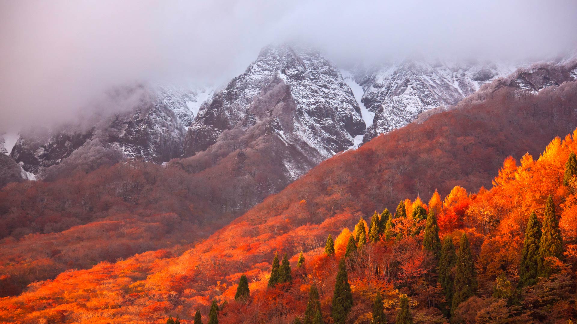 大山,日本神奈川县 (© Katsuhiro Yamanashi/Getty Images) - 2018/11/01 大山,日本神奈川县 (© Katsuhiro Yamanashi/Getty Images) - 2018/11/01