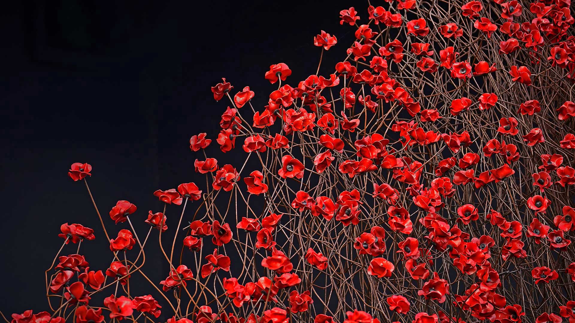 帝国战争博物馆北馆内的装置艺术‘Blood Swept Lands and Seas of Red’,英国曼彻斯特 (© Christopher Furlong/Getty Images) - 2018/11/11 帝国战争博物馆北馆内的装置艺术‘Blood Swept Lands and Seas of Red’,英国曼彻斯特 (© Christopher Furlong/Getty Images) - 2018/11/11