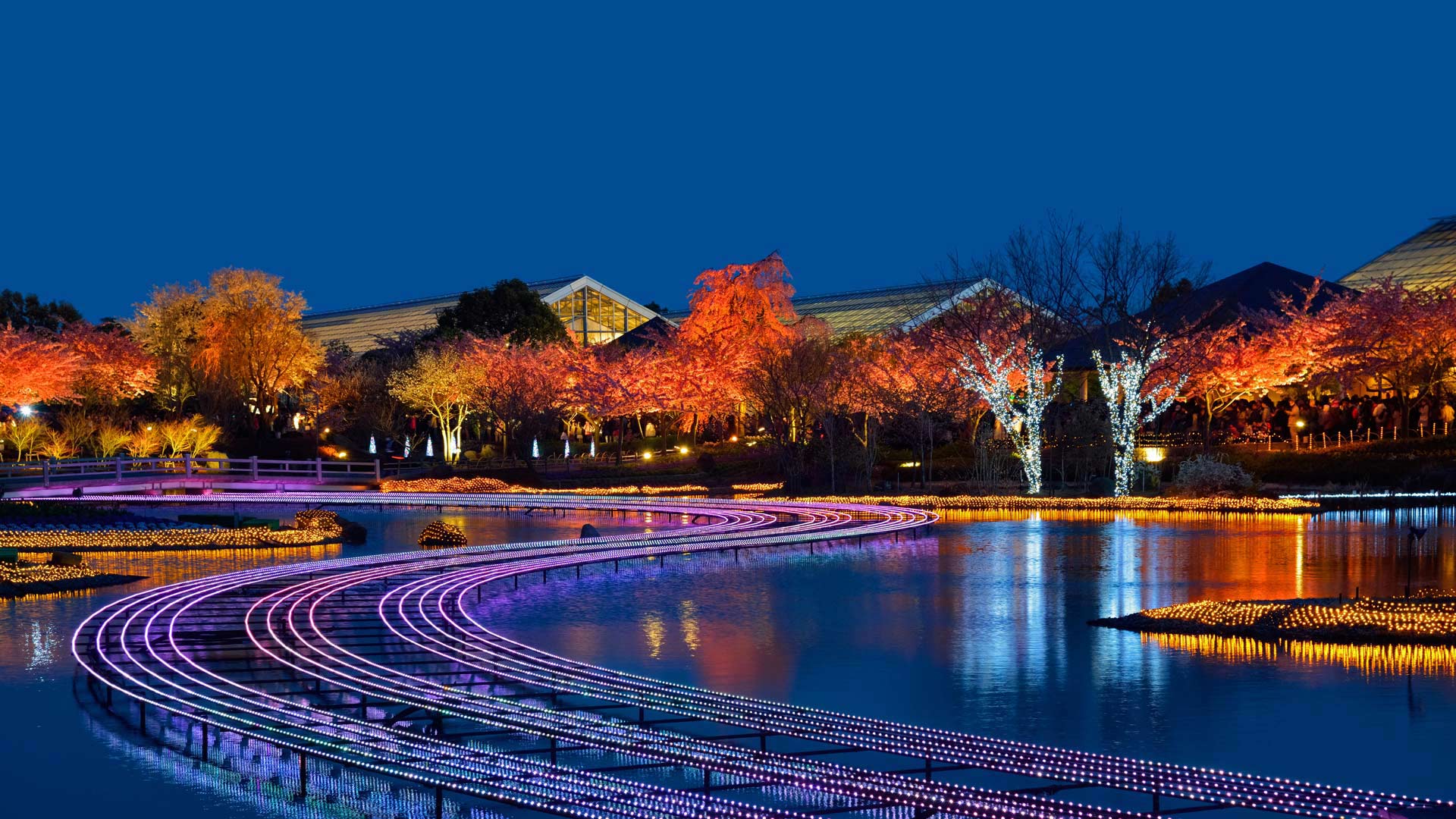 名花之里冬季彩灯展,日本桑名市 (© Julian Krakowiak/Alamy) - 2018/12/20 名花之里冬季彩灯展,日本桑名市 (© Julian Krakowiak/Alamy) - 2018/12/20