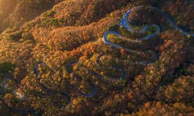 像日光那样&ldquo;弯道飞驰&rdquo;&nbsp;&nbsp;|&nbsp;&nbsp;秋天的伊吕波坂，日光市，栃木县，日本 (&copy; oneinchpunch/Shutterstock) - 2025/11/15