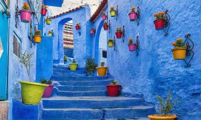 从抗拒到绽放&nbsp;&nbsp;|&nbsp;&nbsp;舍夫沙万的蓝色墙壁, 摩洛哥 (&copy; AnetteAndersen/Getty Images) - 2026/01/11