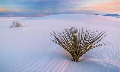 伪装成沙漠的奇境&nbsp;&nbsp;|&nbsp;&nbsp;白沙国家公园，新墨西哥州，美国 (&copy; Francesco Carucci/Getty Images) - 2026/01/18