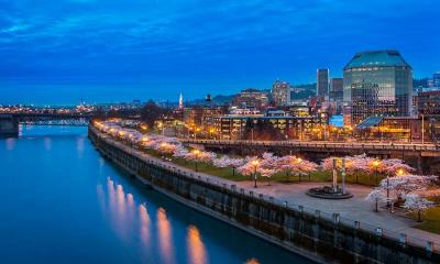城市花开&nbsp;&nbsp;|&nbsp;&nbsp;汤姆&middot;麦考尔滨水公园的樱花，波特兰，俄勒冈州，美国 (&copy; Eric Vogt/Tandem Stills + Motion) - 2026/03/18