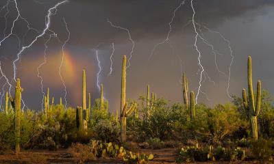 当水划出界线&nbsp;&nbsp;|&nbsp;&nbsp;坦噶尼喀湖，非洲 (&copy; BEST-BACKGROUNDS/NASA/Shutterstock) - 2026/03/23