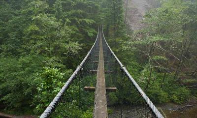 凌驾荒野之上&nbsp;&nbsp;|&nbsp;&nbsp;洛根溪吊桥，西海岸步道，加拿大 (&copy; Tandem Stock/Adobe Stock) - 2026/03/26