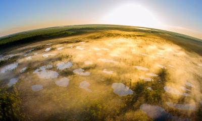 行动的力量&nbsp;&nbsp;|&nbsp;&nbsp;阿拉姆-佩德亚自然保护区，塔尔图县，爱沙尼亚 (&copy; Sven Zacek/Nature Picture Library) - 2026/04/22