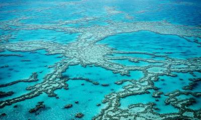 水下建筑&nbsp;&nbsp;|&nbsp;&nbsp;从上方俯瞰大堡礁, 昆士兰州, 澳大利亚 (&copy; Francesco Riccardo Iacomino/Getty Images) - 2026/05/11