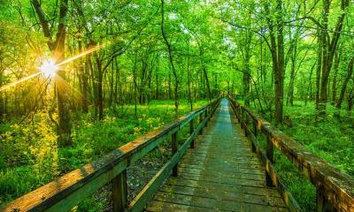 多走走，多思考&nbsp;&nbsp;|&nbsp;&nbsp;纳奇兹小径公园大道, 图珀洛, 密西西比州, 美国 (&copy; The best photo is earned/Getty Images Plus) - 2026/06/06