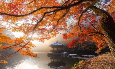 静水映斑斓&nbsp;&nbsp;|&nbsp;&nbsp;内藏山国立公园的秋景，韩国 (&copy; Twenty47studio/Getty Images) - 2026/10/22