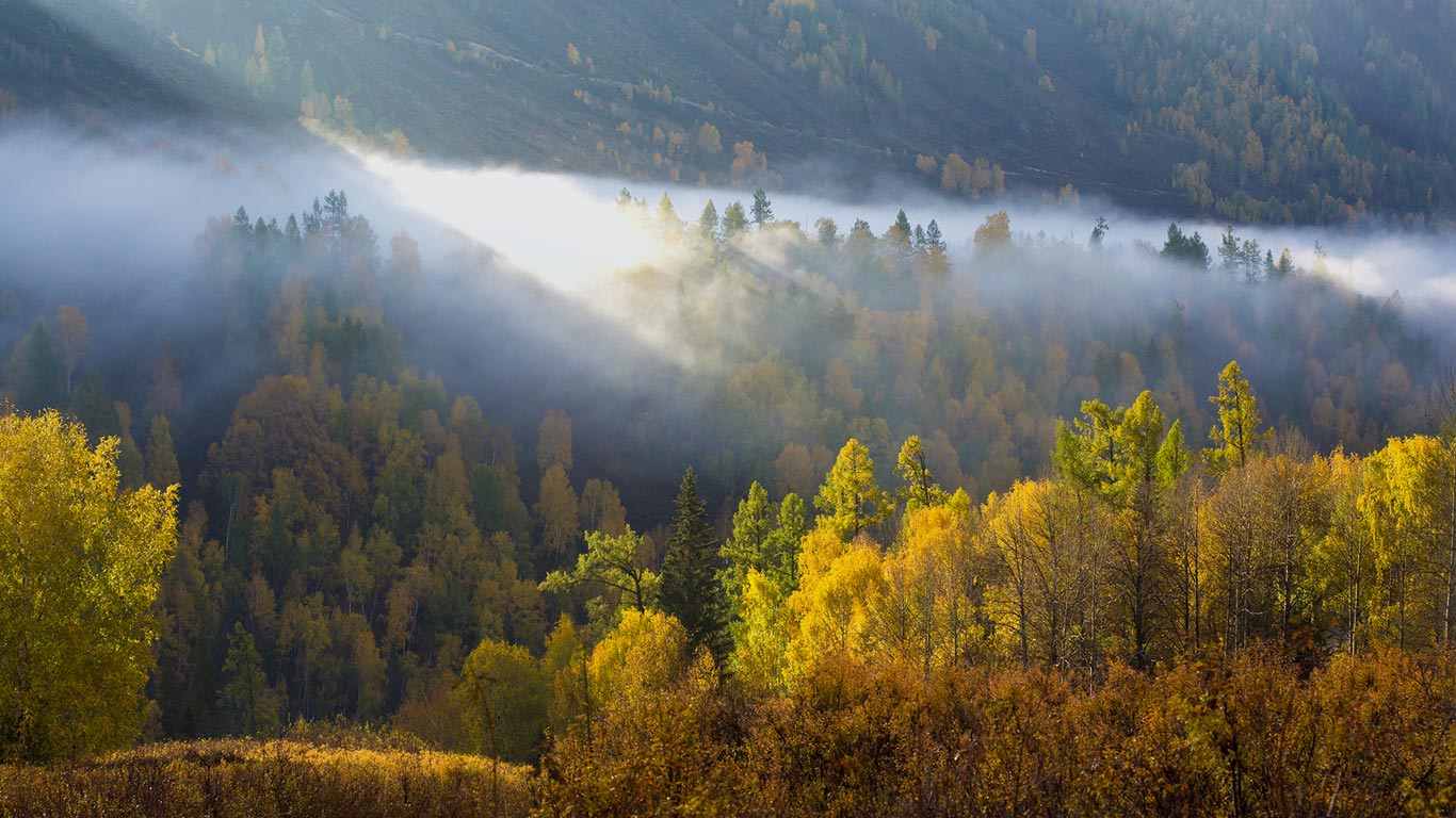 https://bing.ee123.net/img/rand?artid=102637772