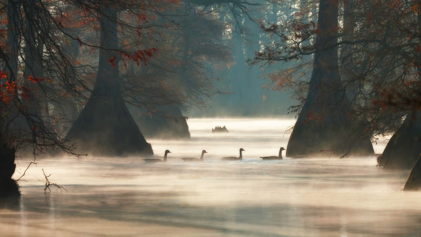 https://bing.ee123.net/img/rand?artid=102823038