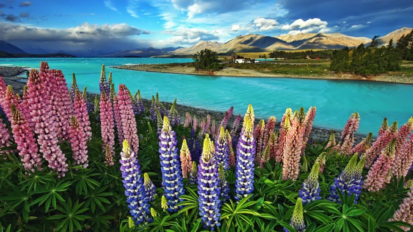 https://bing.ee123.net/img/rand?artid=103550907