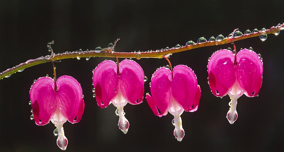 https://bing.ee123.net/img/rand?artid=103775945