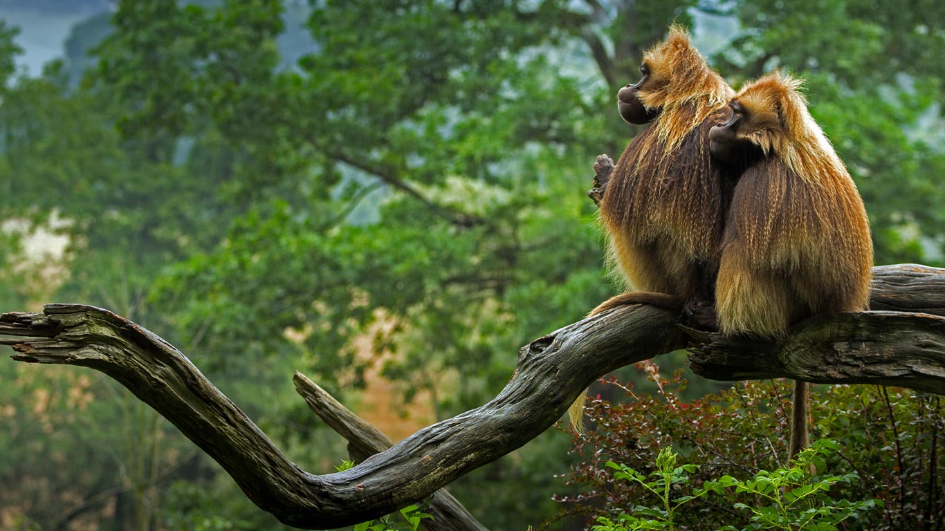 https://bing.ee123.net/img/rand?artid=103792200