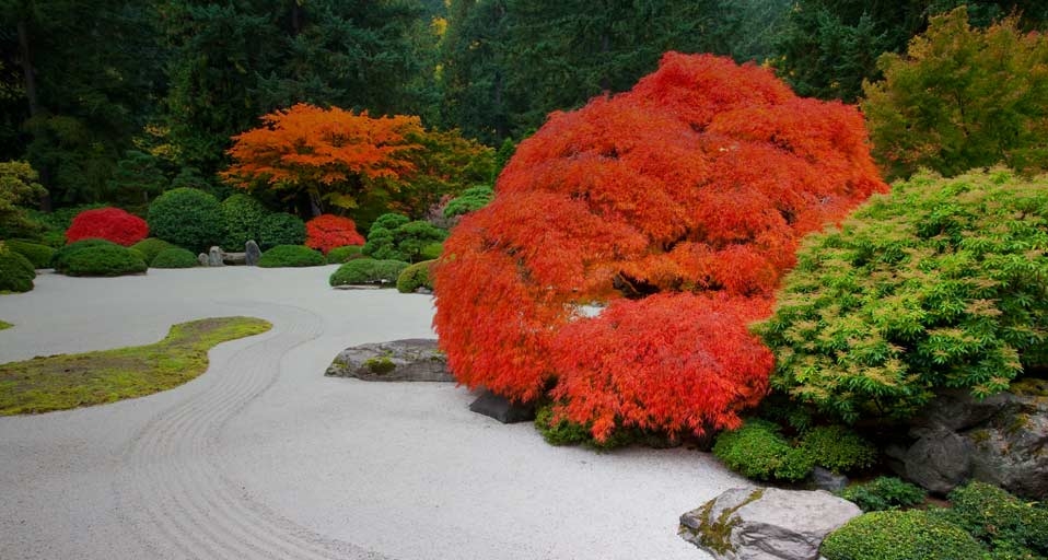 https://bing.ee123.net/img/rand?artid=103867709