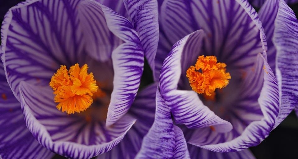 https://bing.ee123.net/img/rand?artid=105398709