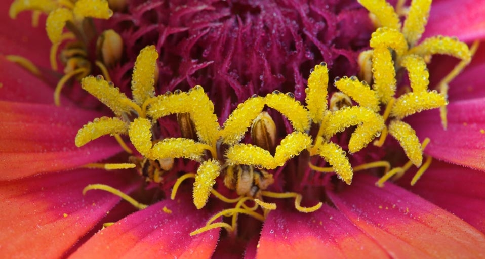 https://bing.ee123.net/img/rand?artid=105762255