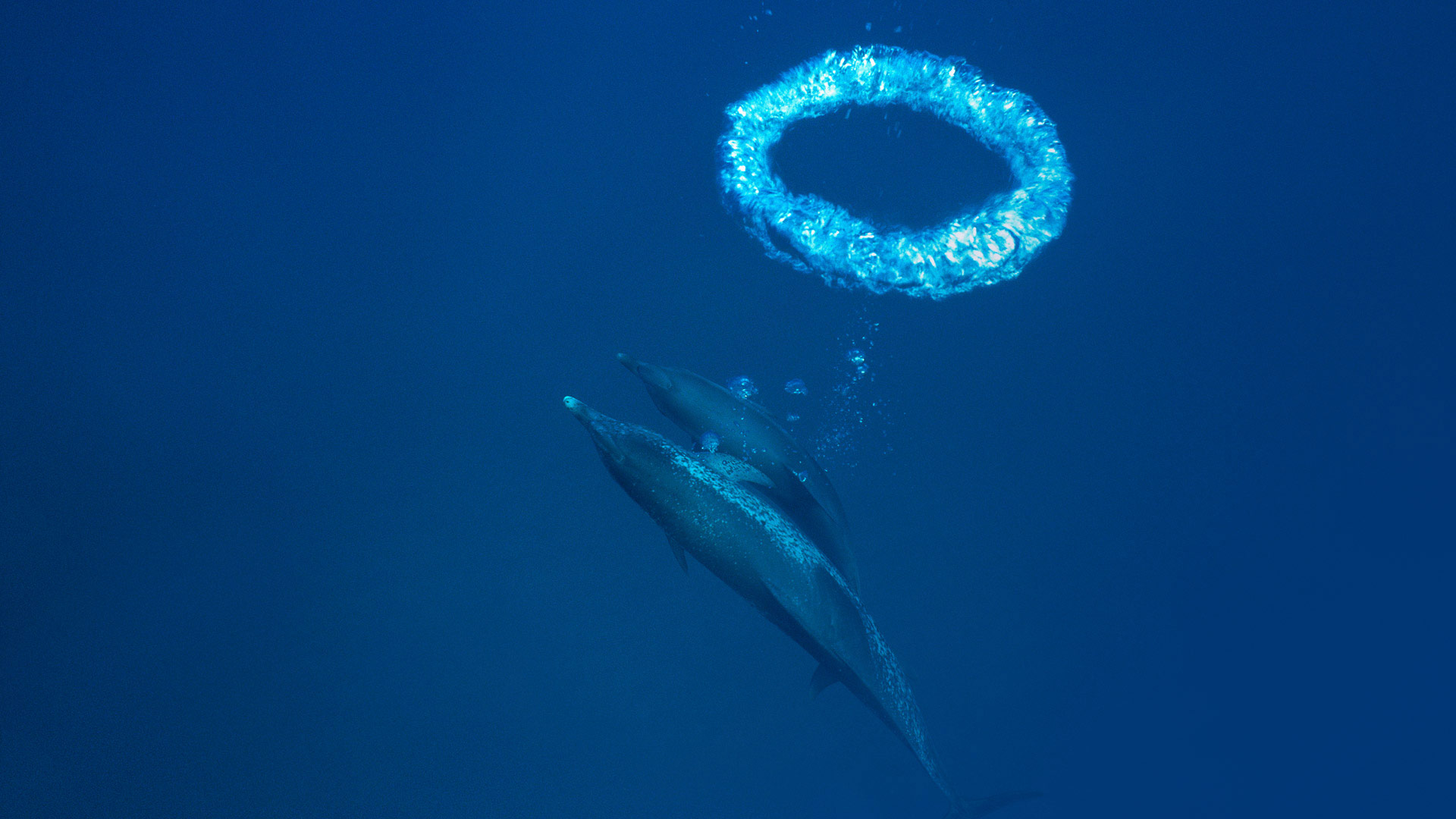 https://bing.ee123.net/img/rand?artid=107472093