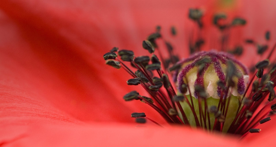 https://bing.ee123.net/img/rand?artid=108319276