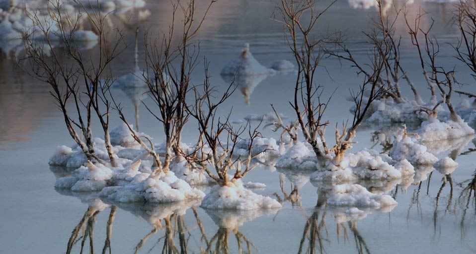 https://bing.ee123.net/img/rand?artid=109304445