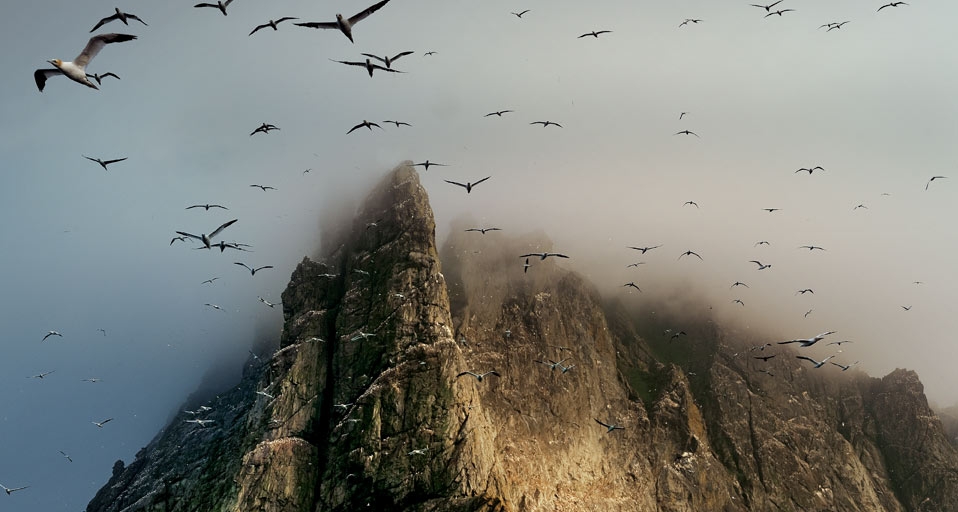 https://bing.ee123.net/img/rand?artid=111056137