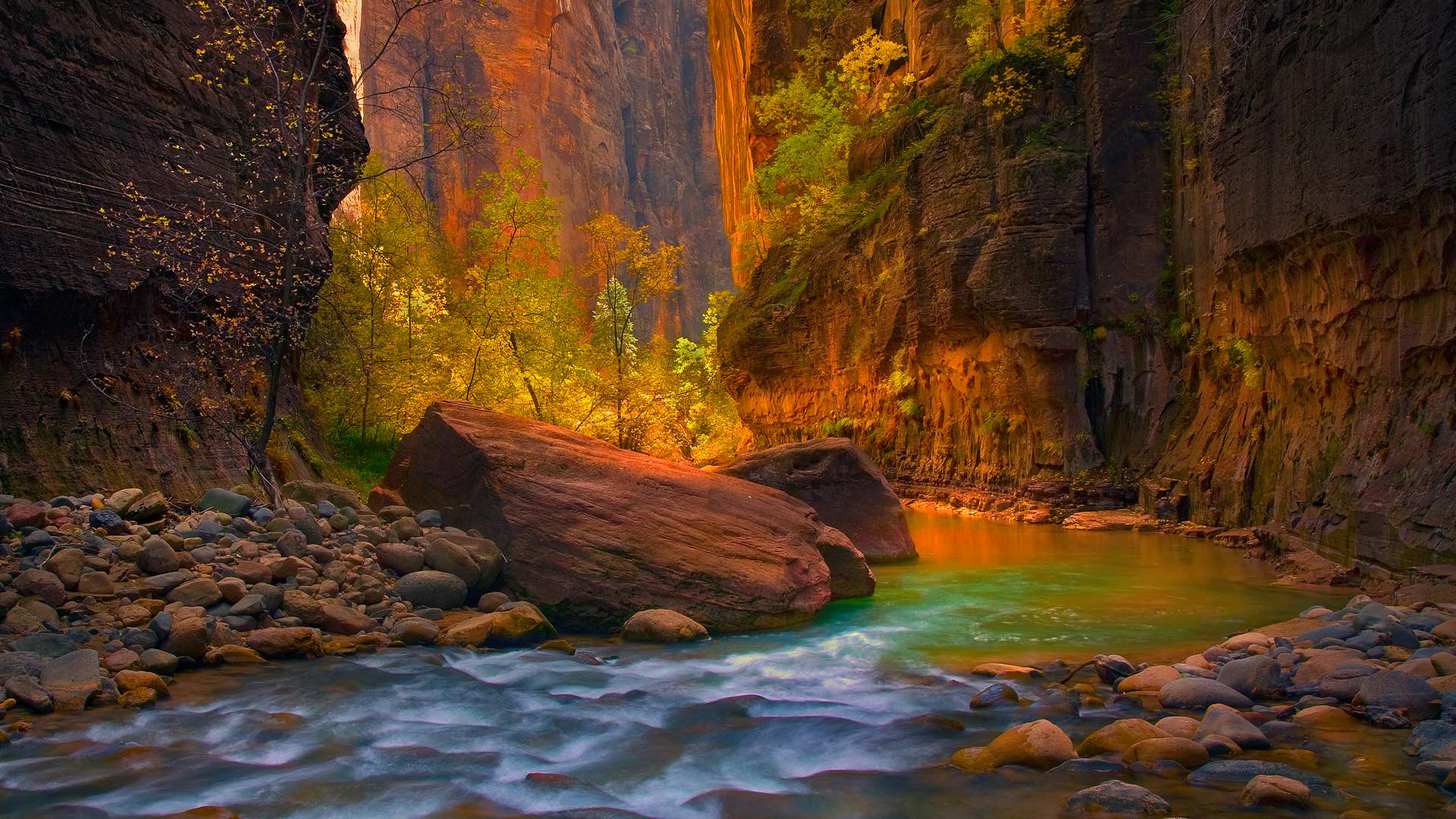 https://bing.ee123.net/img/rand?artid=113814580