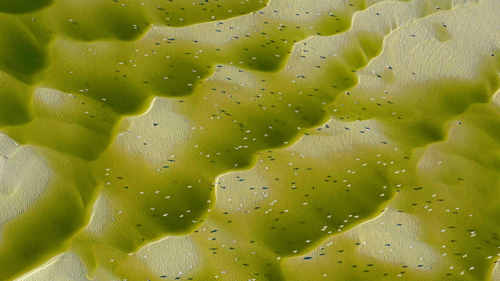 https://bing.ee123.net/img/rand?artid=114910060