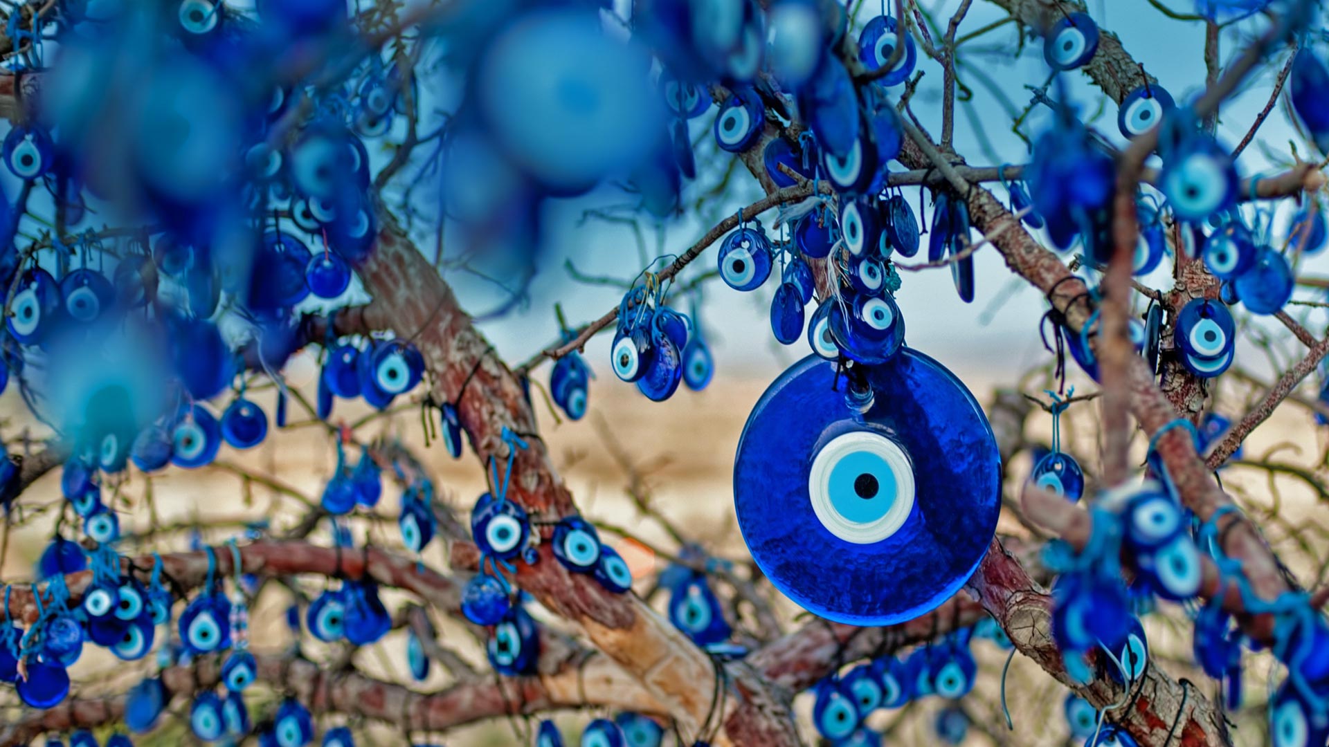 https://bing.ee123.net/img/rand?artid=115500034