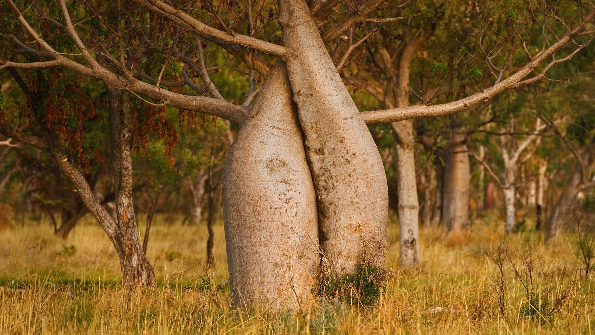 https://bing.ee123.net/img/rand?artid=117353775