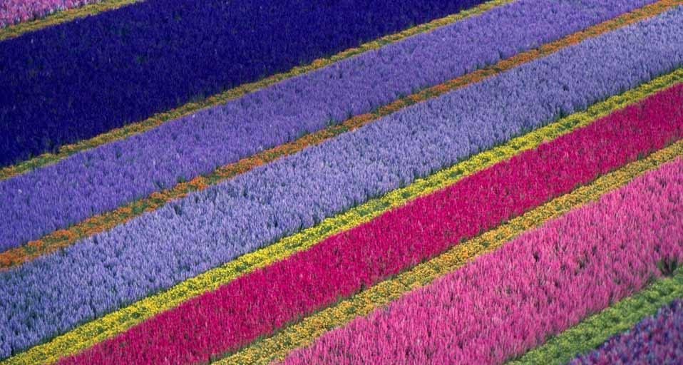 https://bing.ee123.net/img/rand?artid=117354769