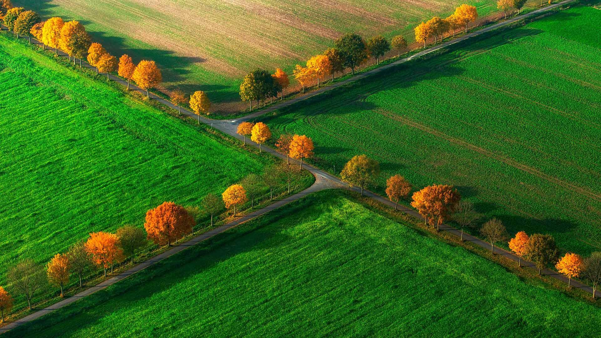 https://bing.ee123.net/img/rand?artid=117724549