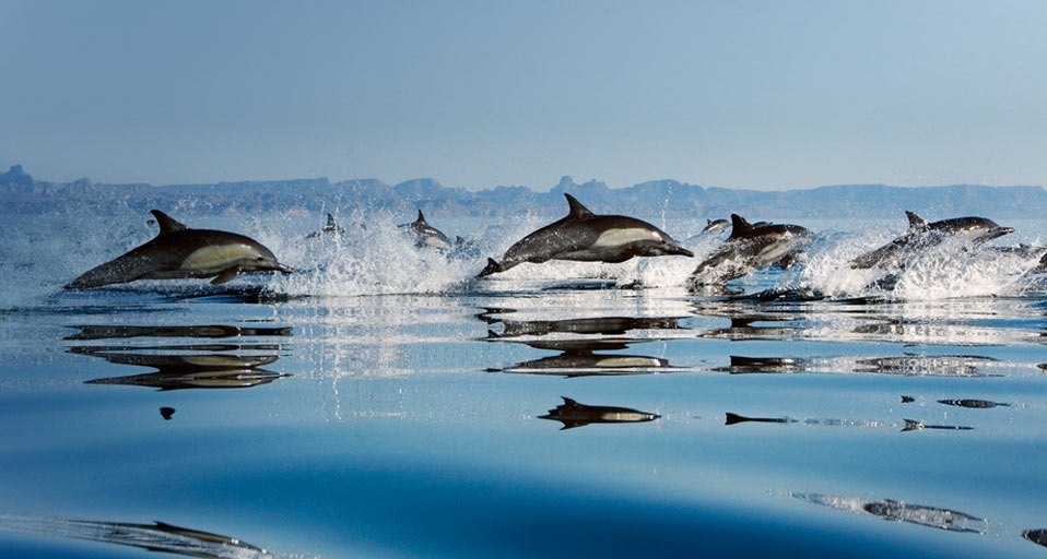 https://bing.ee123.net/img/rand?artid=118427097
