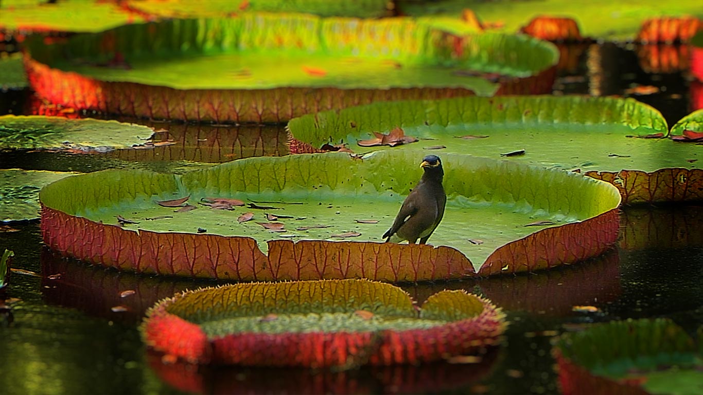 https://bing.ee123.net/img/rand?artid=118435718