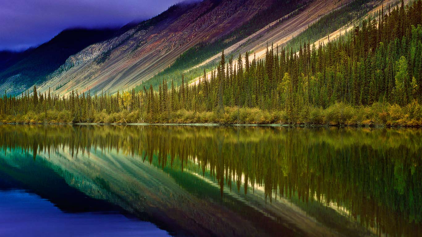 https://bing.ee123.net/img/rand?artid=118876473