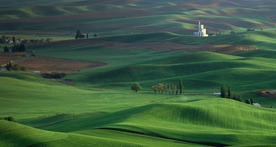 https://bing.ee123.net/img/rand?artid=120120464