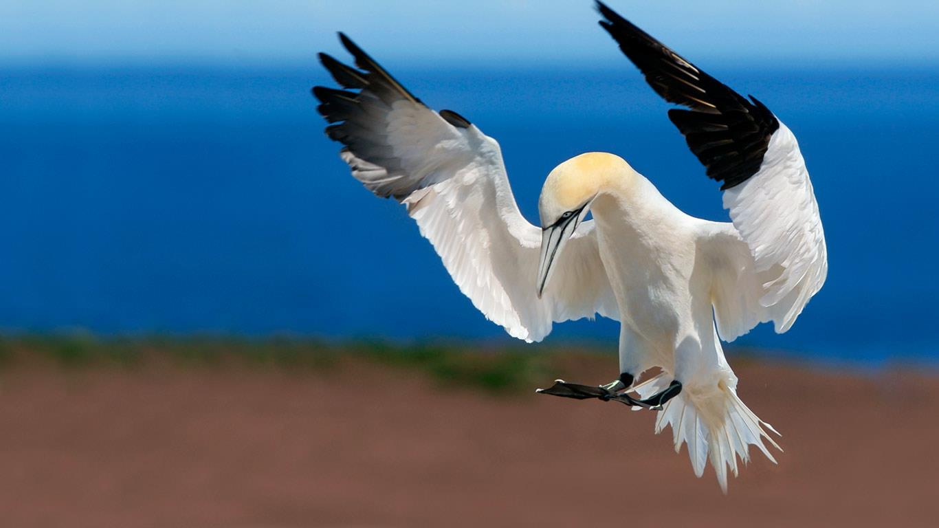 https://bing.ee123.net/img/rand?artid=121254247