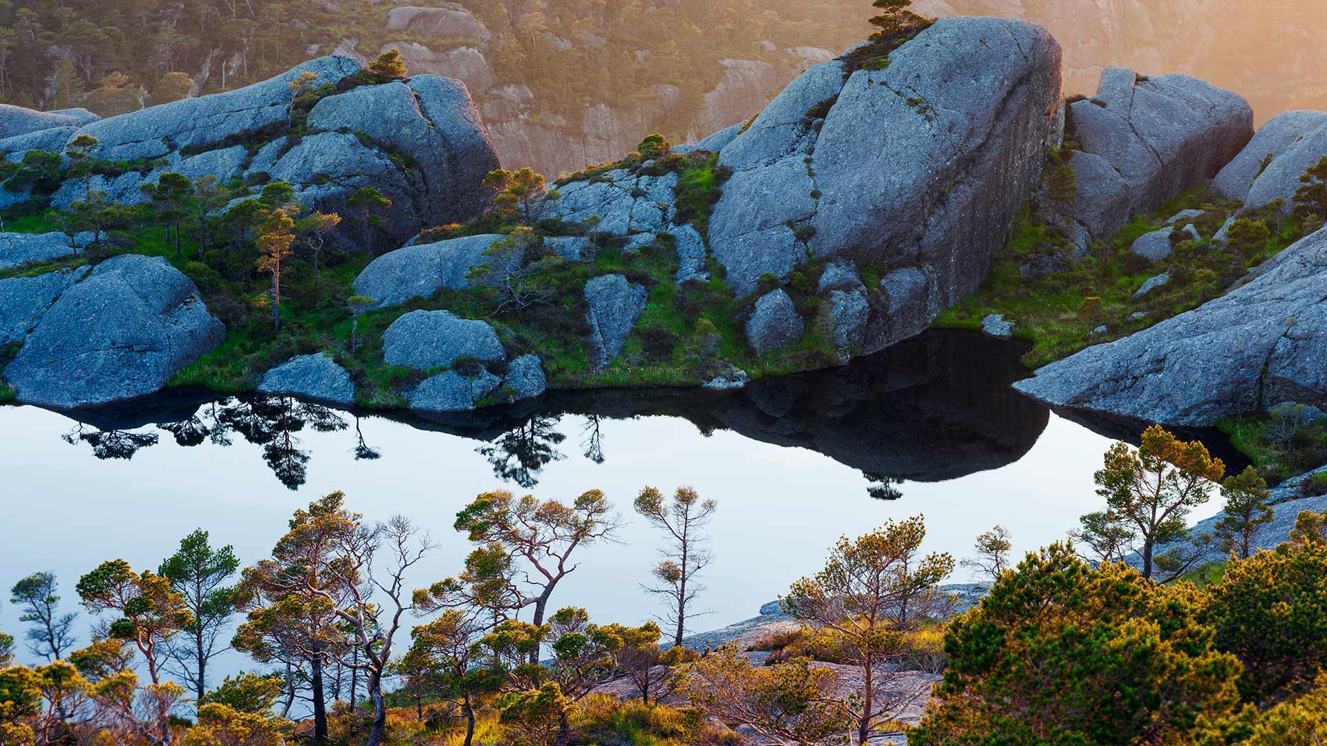 https://bing.ee123.net/img/rand?artid=121289917
