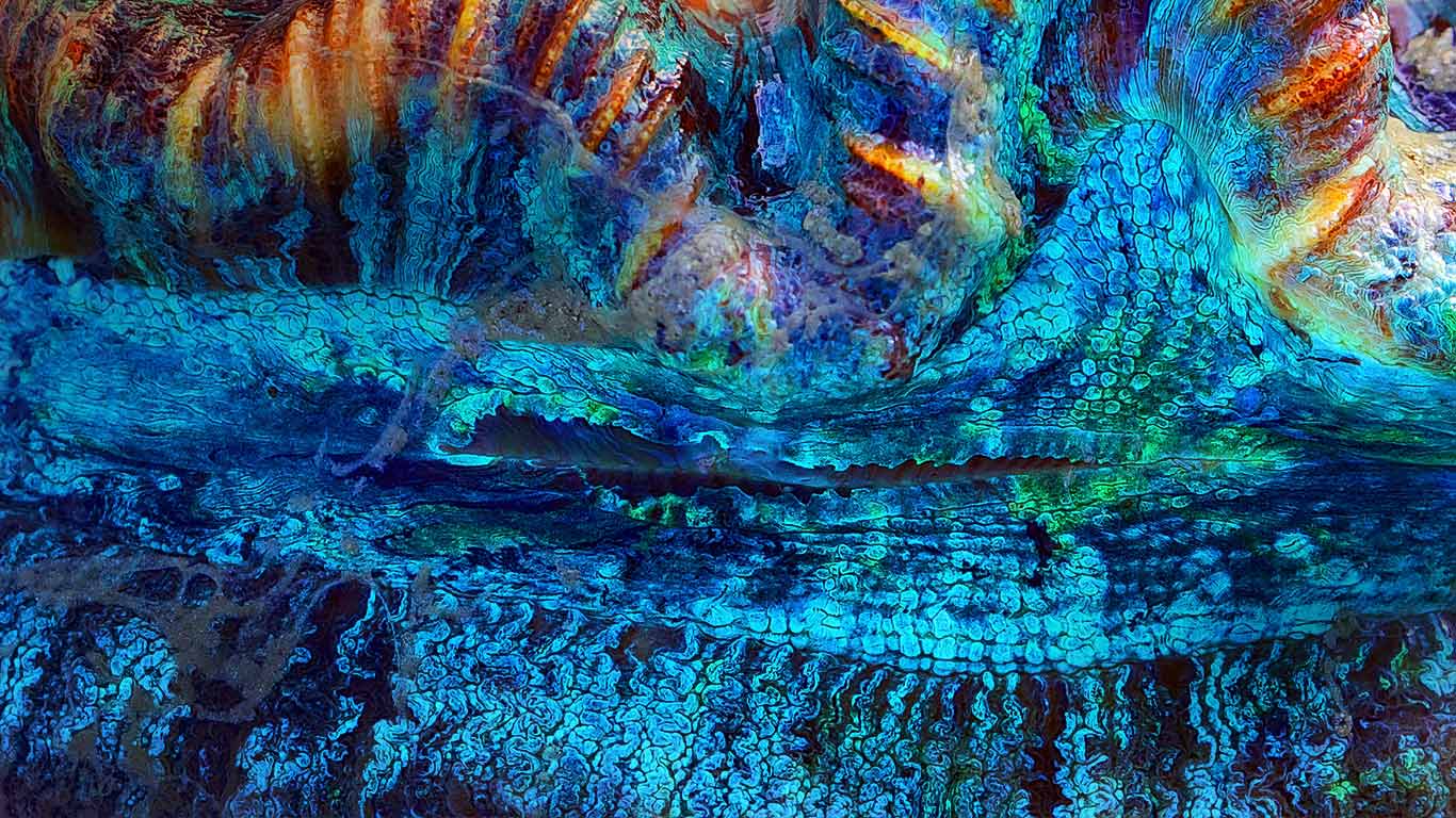 https://bing.ee123.net/img/rand?artid=121996474