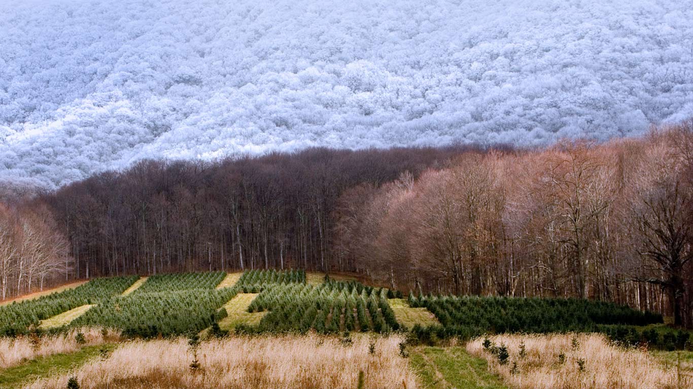https://bing.ee123.net/img/rand?artid=122053786