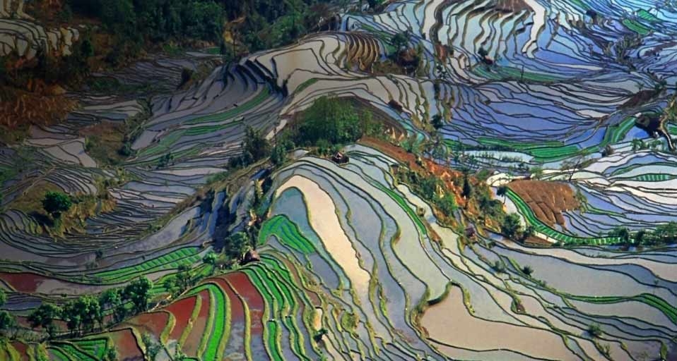 https://bing.ee123.net/img/rand?artid=123536485