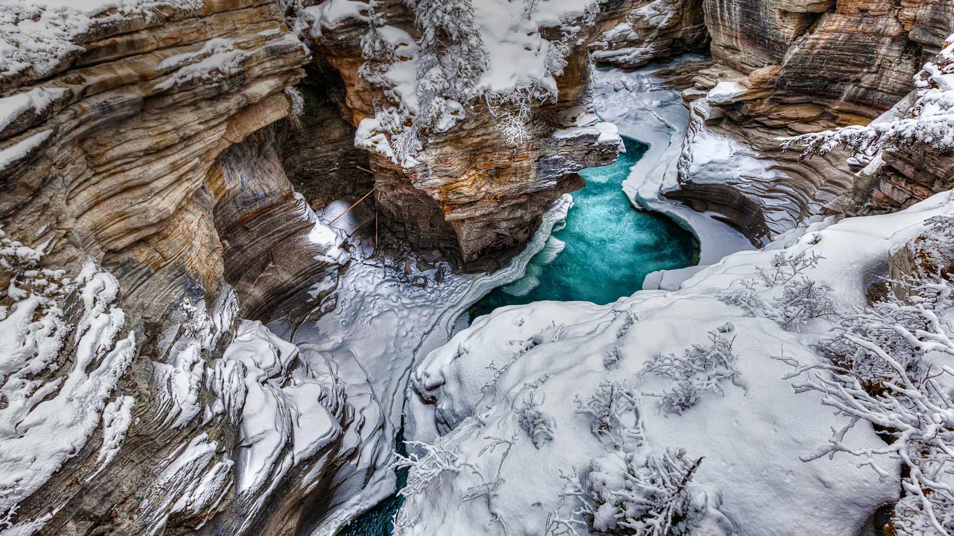 https://bing.ee123.net/img/rand?artid=123631209