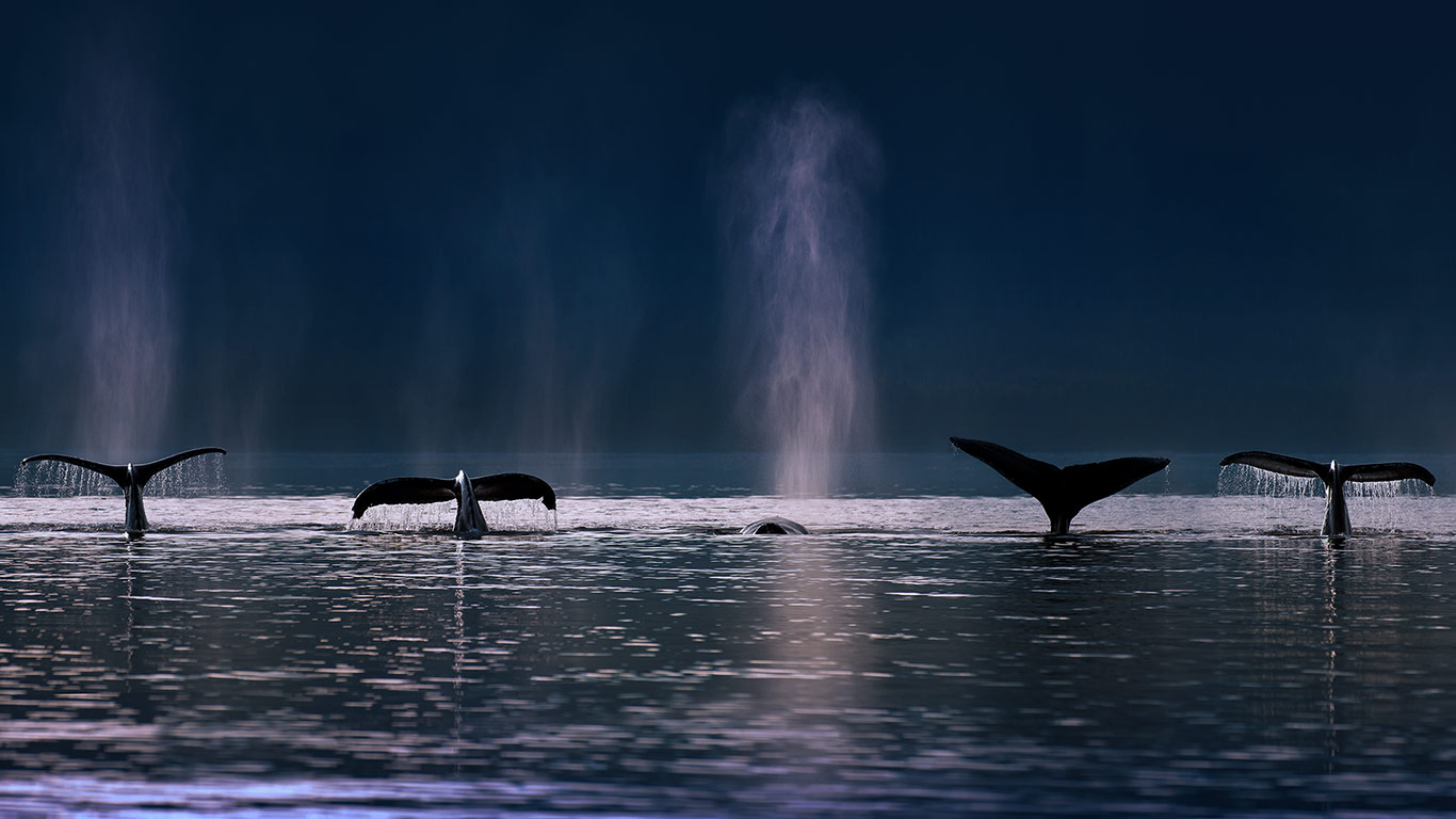 https://bing.ee123.net/img/rand?artid=125242362