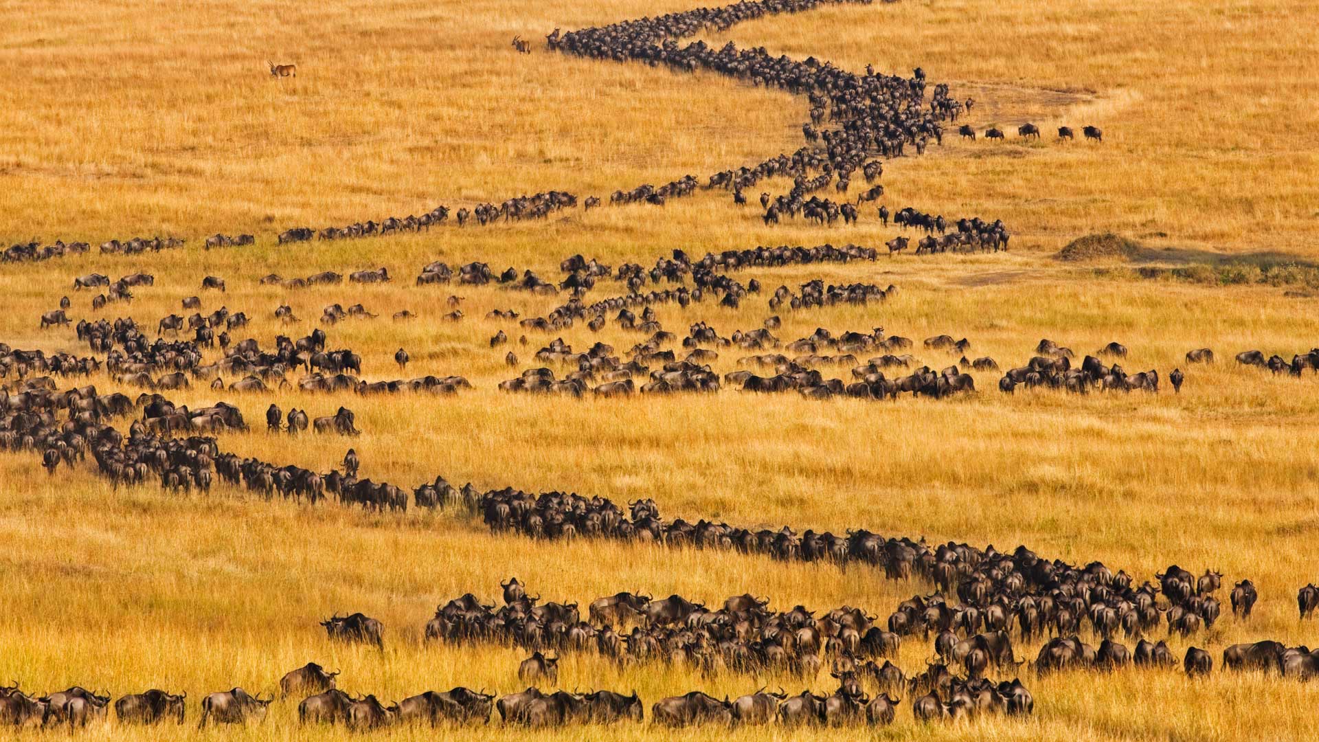 https://bing.ee123.net/img/rand?artid=125863531