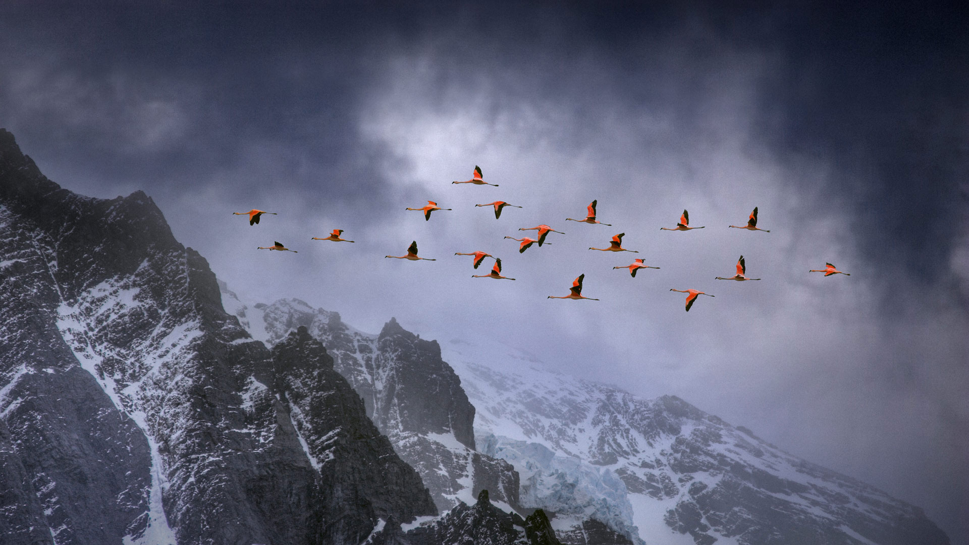 https://bing.ee123.net/img/rand?artid=126641352